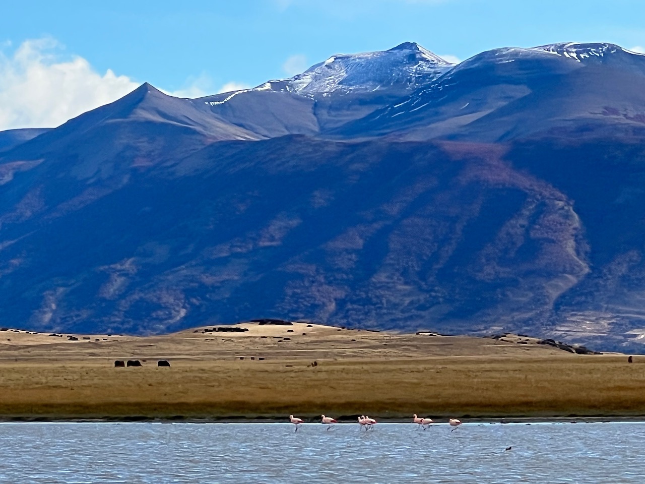 Temos orgulho de nossas raízes, um lugar onde podemos nos conectar com o  que é fundamental e genuíno na natureza 🌱🍃 A amada Patagônia 💙