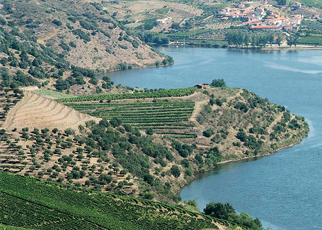 Plantações de uva nas margens do Douro - Foto: Reprodução/Harper's Bazaar