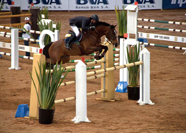 Clique da última edição do Classic Horse Show - Foto: divulgação