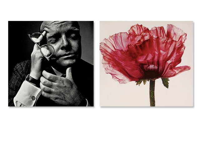 Imagens de Irving Penn que inspiraram a coleção de inverno 2014 de Vitorino Campos - Fotos: Reprodução
