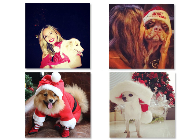 Lelê Saddi e Gisele Bündchen posam com seus dogs enquanto os pets de Helena Bordon e Isabel Hickmann ganham fantasia especial para a festa - Fotos: reprodução/Instagram
