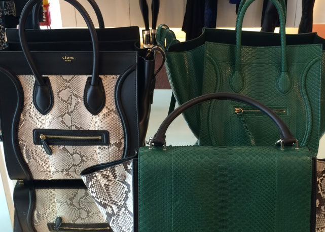 Modelos Céline em phyton - Foto: Divulgação