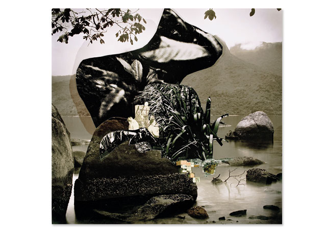 Tababuia (2009), fotocolagem de Caio Reisewitz - Foto:divulgação