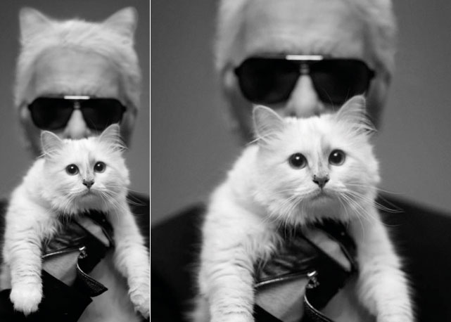 Karl com Choupette - Foto: divulgação