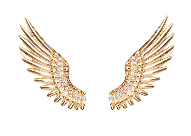 Ear wings - Foto: divulgação