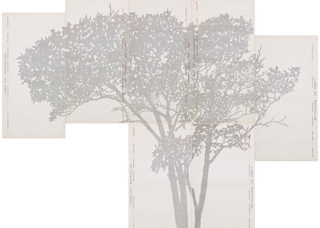 Detalhe da obra Perímetros (2012-14), de Johanna Calle, que consiste em desenhos de natureza feitos datilografando textos sobre a demarcação de terras - Foto:reprodução/Bazaar ARt