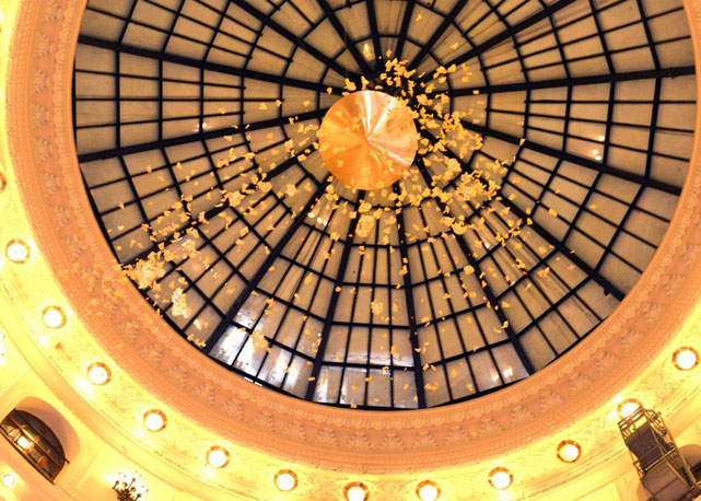 Chuva de Ouro na exposição - Foto: Cristina Granato 