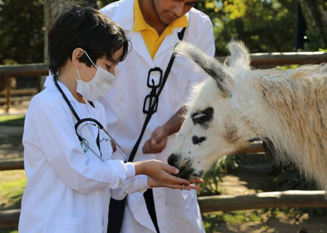 Este garoto que gostaria de ser veterinário, teve seu desejo realizado por um dia. Contribua com a causa! - Foto: divulgação
