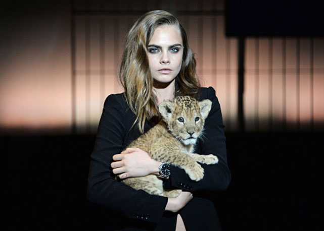 How cute! Cara e o bebê leão durante o anuncio oficial da parceria, em Paris - Foto: reprodução
