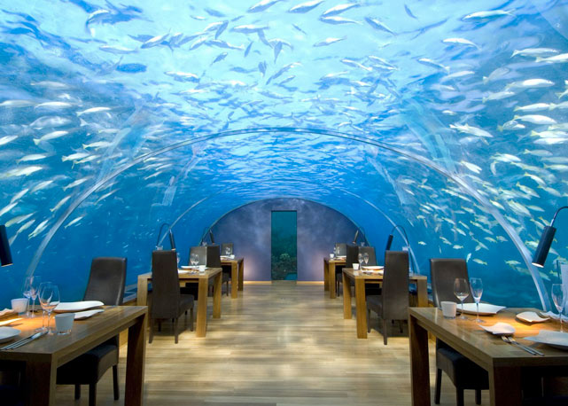 O restaurante Ithaa, nas Ilhas Maldivas – Foto: reprodução 