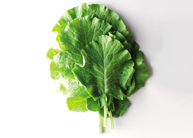 Superfood: os benefícios do couve - Foto: Harper´s Bazaar