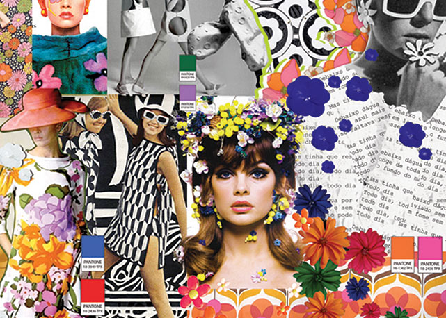Mood board da PatBo - Foto: divulgaão