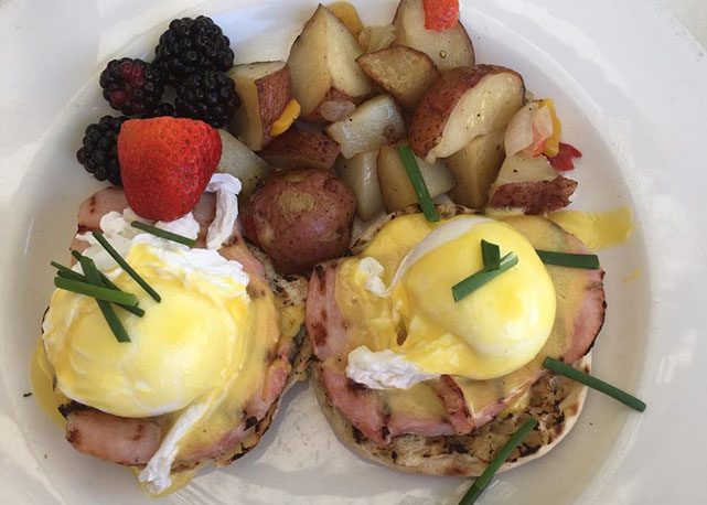 Ovos Benedict - Foto: divulgação