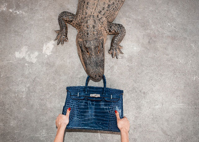 Hermès e Jane Birkin: problema resolvido! Foto: reprodução