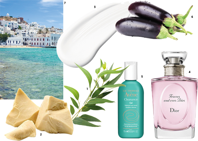 Guta lava o rosto com Cleanance, da Avène, (5), usa protetor solar Episol (3) e manteiga de cacau de farmácia (2). Forever and ever Dior (4) é seu perfume para a noite. A berinjela (6) é legume constante no cardápio, e o eucalipto (1) decora sua casa. Destino preferido? A ilha grega de Mikonos (7) - Fotos: reprodução