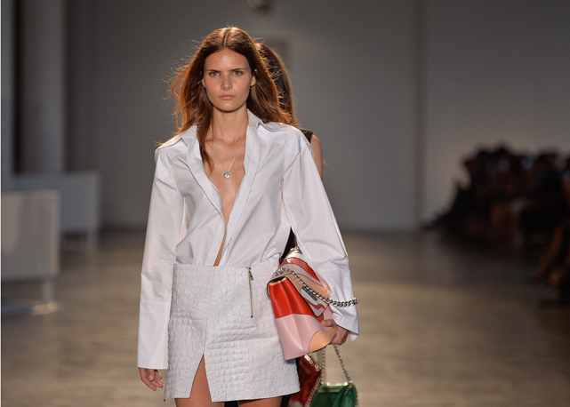 Animale Inverno 2016 - Foto Agência Fotosite