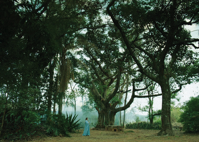 Cena de Hilda Hilst Pede Contato, filme de Gabriela Greeb, em produção, e realizado na Casa do Sol, em Campinas - Foto: divulgação