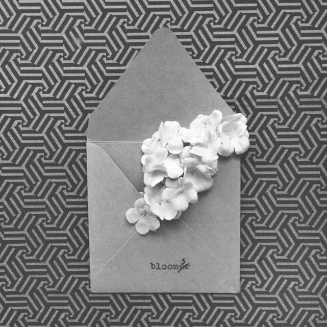 Pasted Graphic por Verena Smit para #GucciGram - Foto: Divulgação