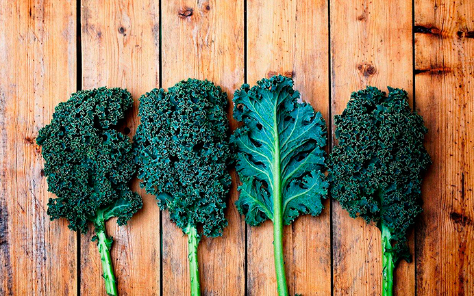 fixa-diet-dieta-detox-harpers-bazaar-sals-kale-salad-recipe