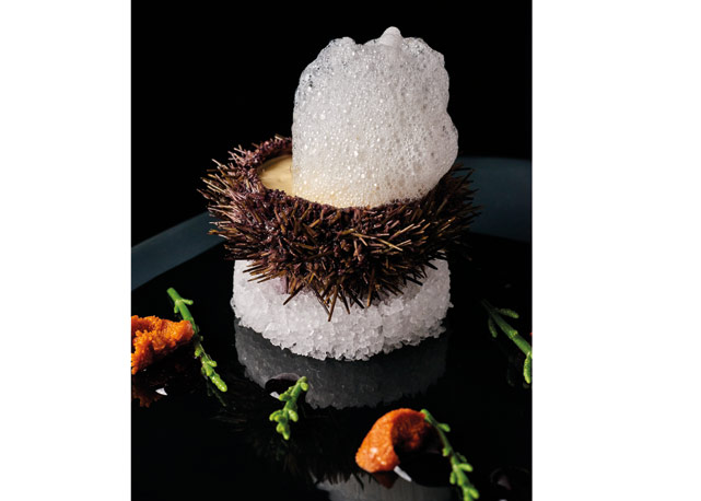 Vieira marinada, lichia e espuma de ouriço do Le Cinq - Foto: reprodução