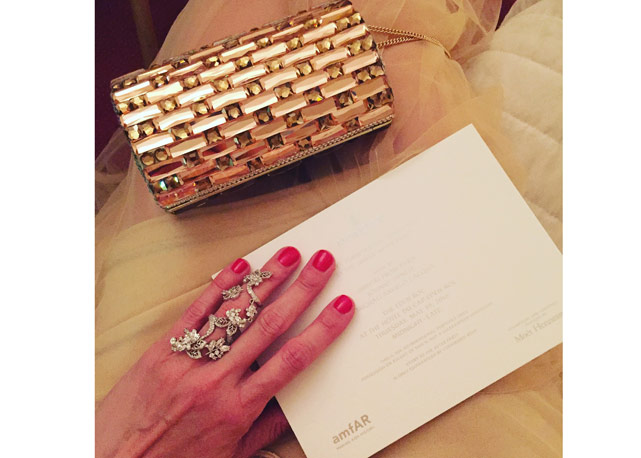 Joia Samantha Willis e clutch Carmen Steffens -Foto: divulgação