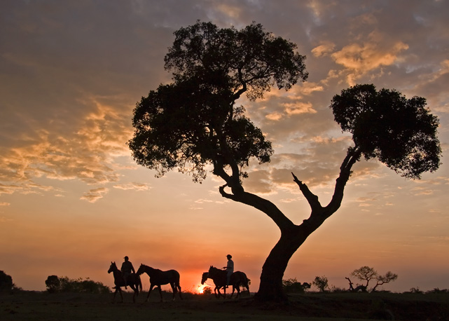 O por do sol no Masai Mara - Foto: divulgação