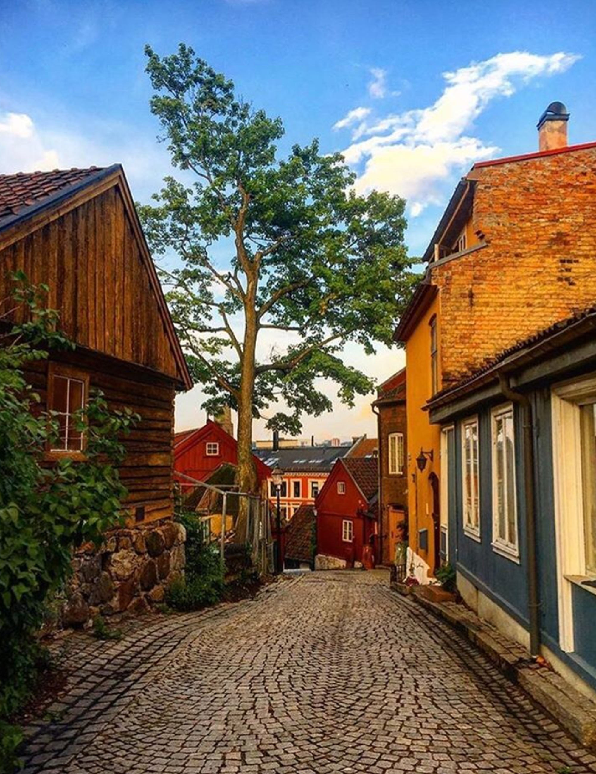 Damstredt, ruela em Oslo - Foto: Reprodução/Instagram