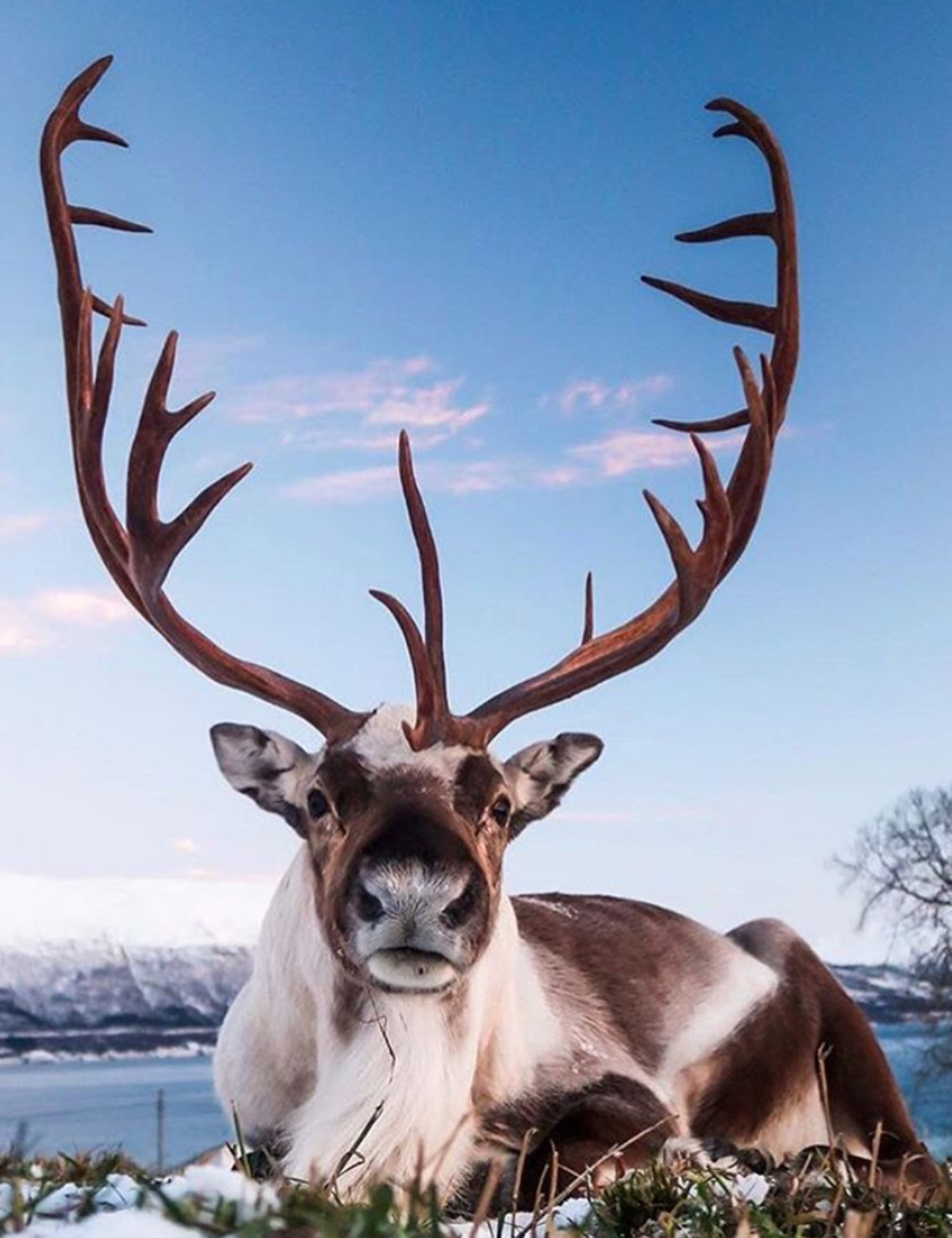 Tromso - Foto: Reprodução/Instagram
