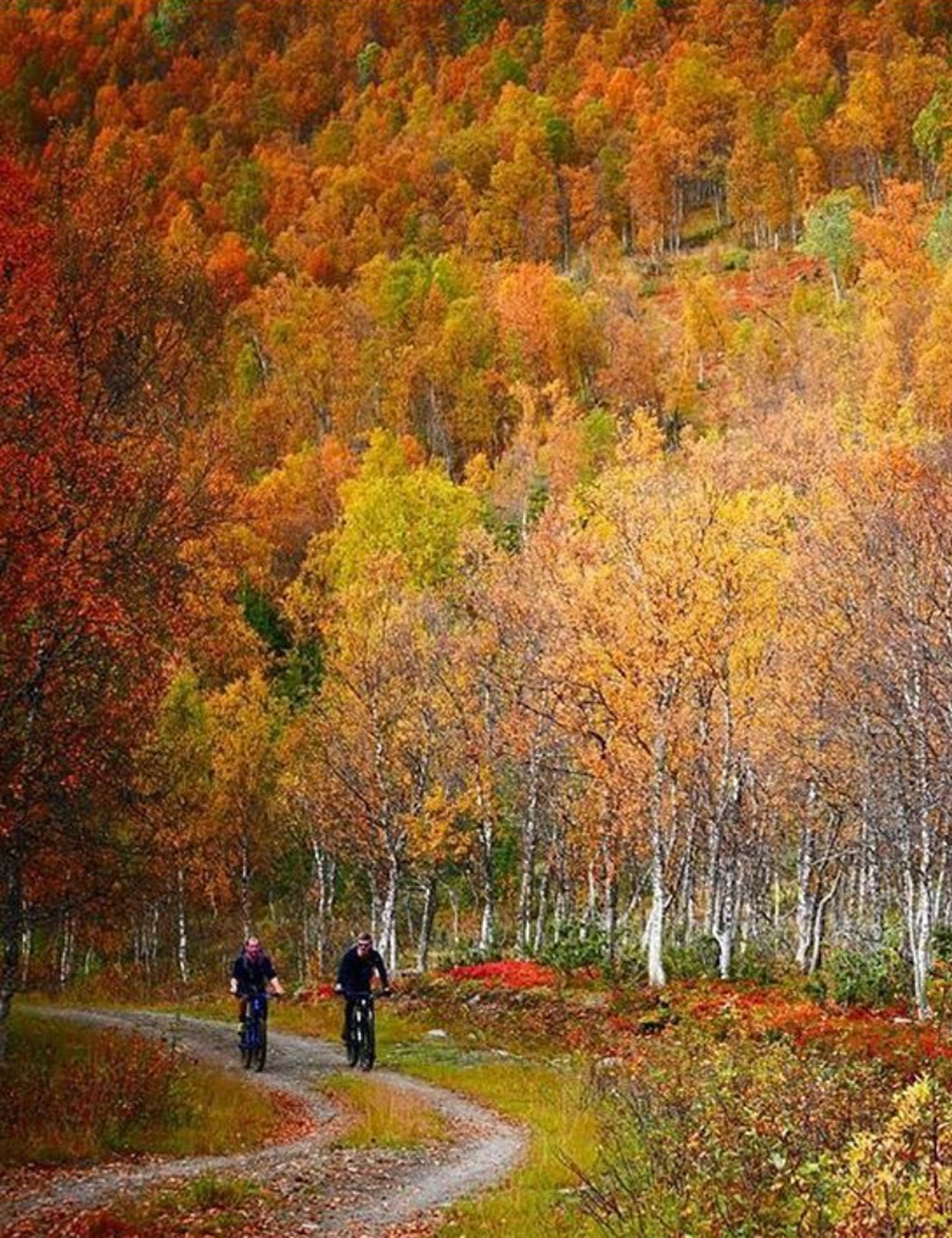 Passeio de bicicleta por Tromso - Foto: Reprodução/Instagram