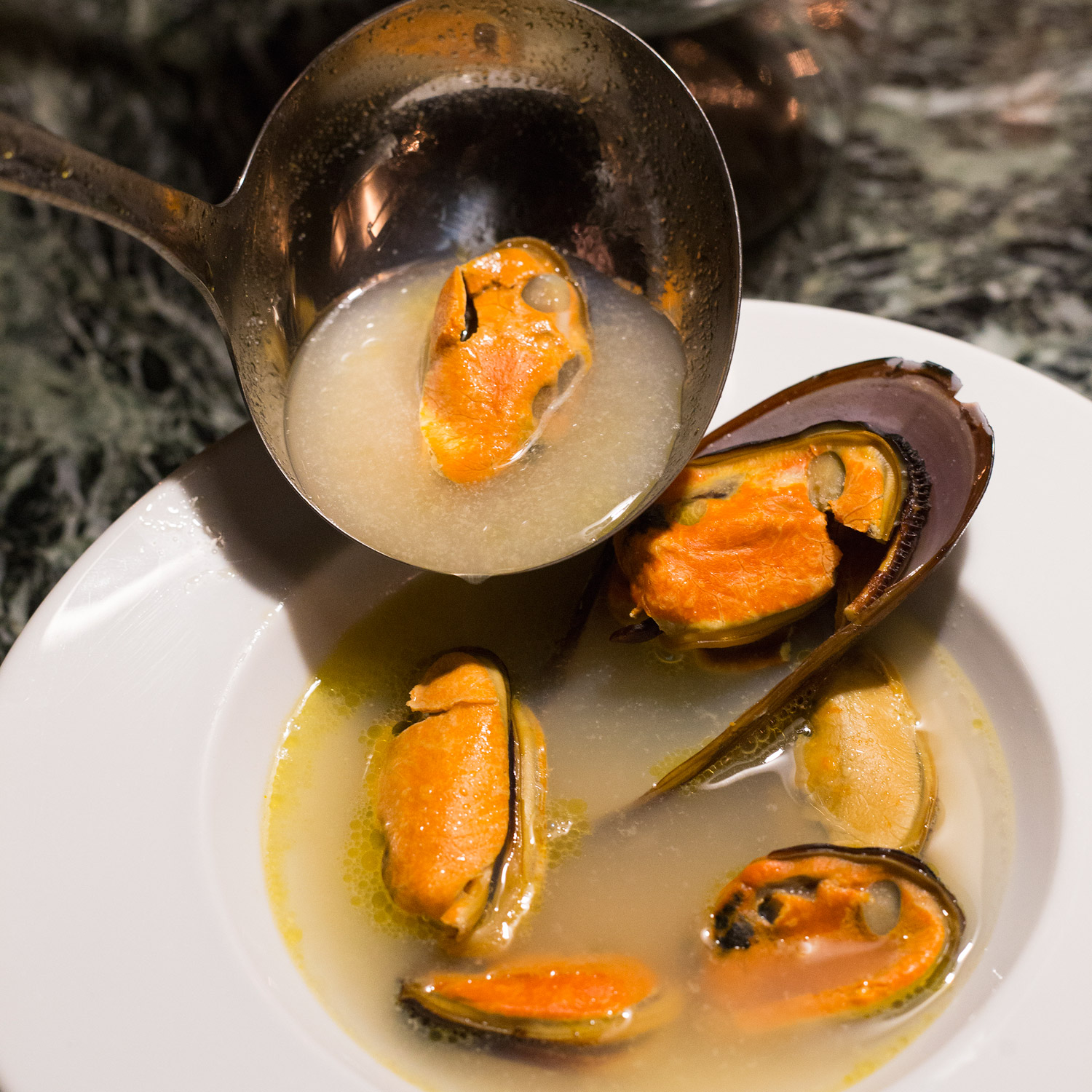 Brodo com marisco - Foto: Divulgação