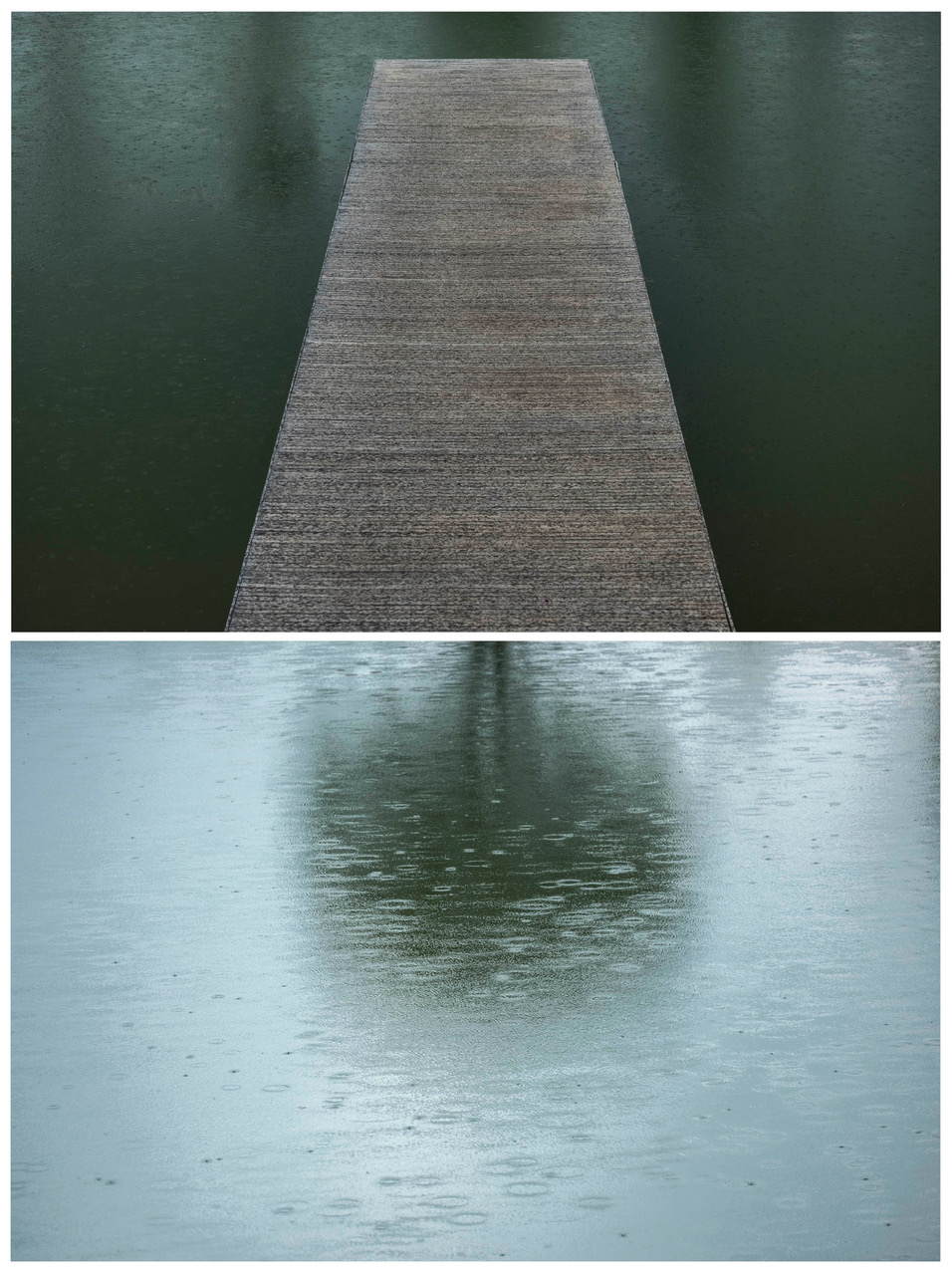 “Natura di Acqua", de Thomas Baccaro - Foto: Divulgação