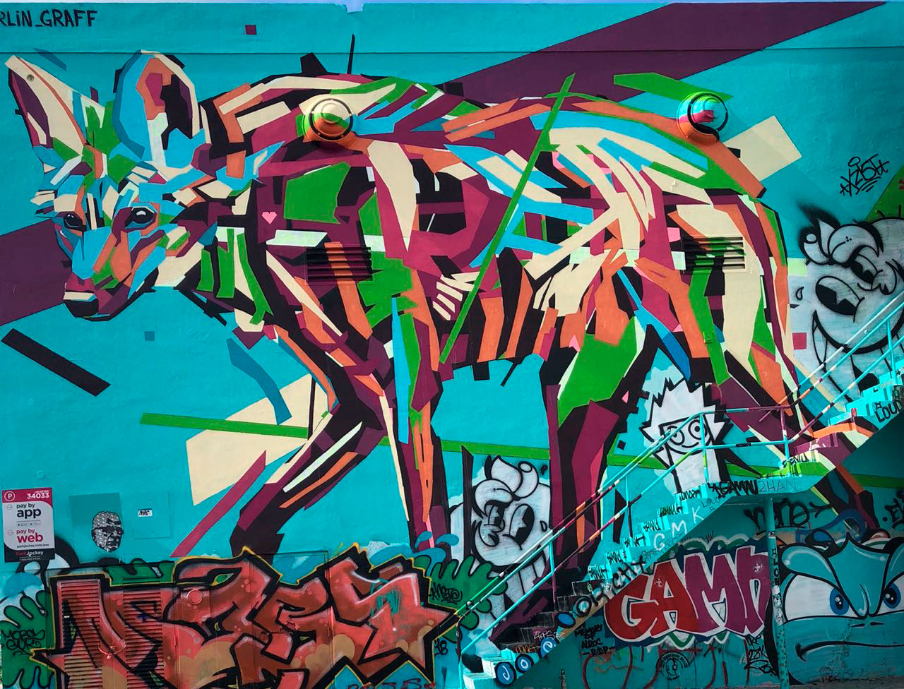 Grafite pelas ruas de Miami - Foto: Patricia Favalle