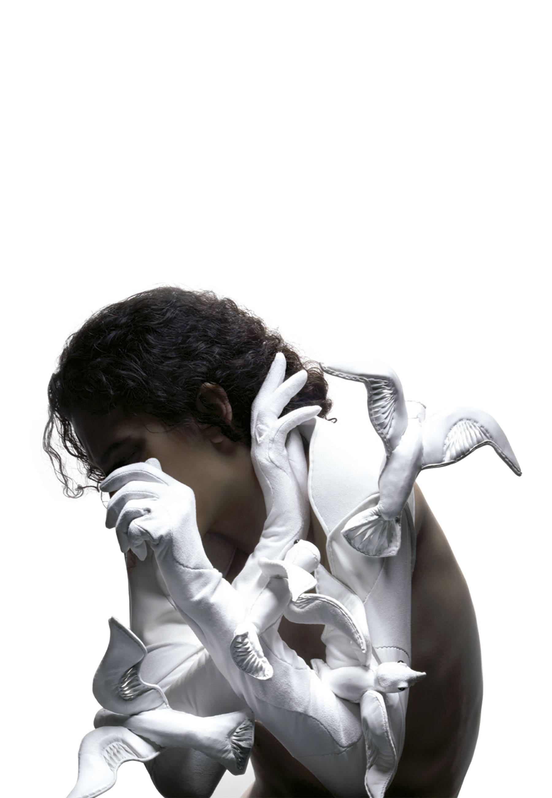 Luvas com pássaros 3D - Foto: Divulgação