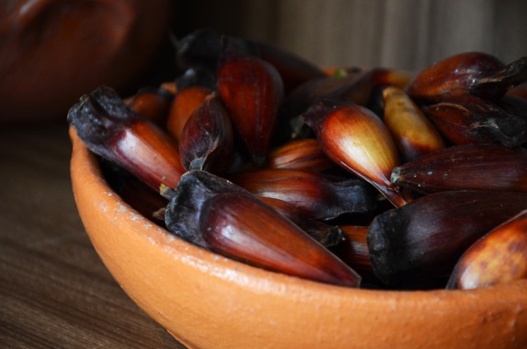 Pinhão é delicioso para pratos salgados e doces - Foto: Pixabay