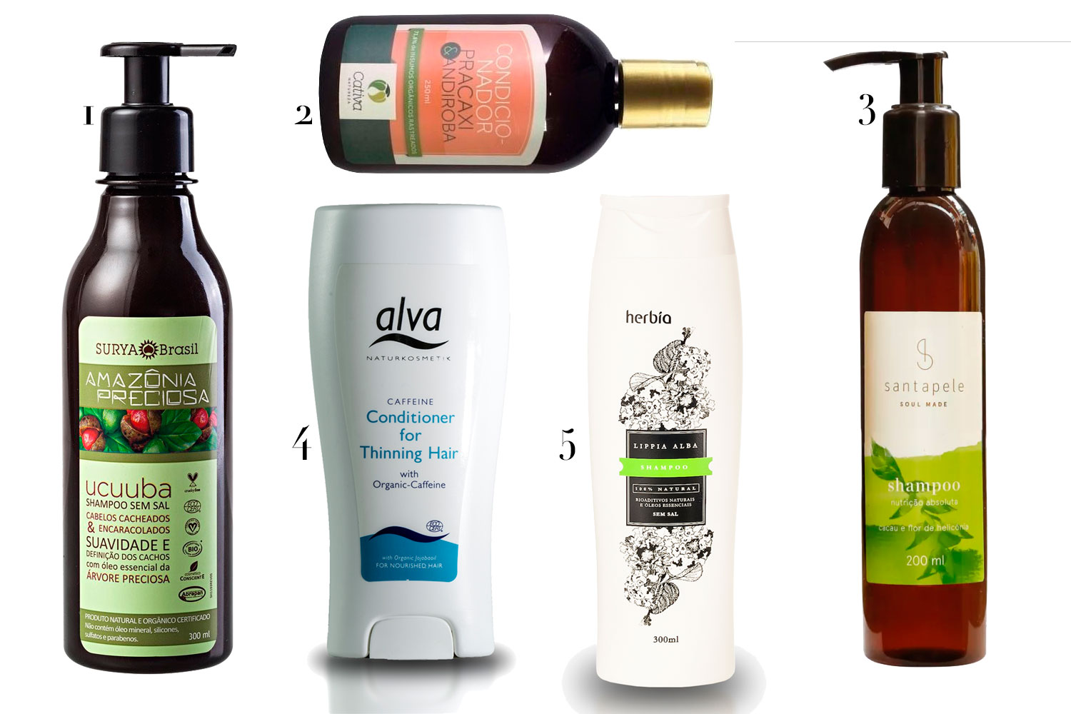 (1) Shampoo Surya Brasil, R$ 97,70; (2) condicionador Cativa Orgânica, R$ 52; (3) shampoo Santapele, R$ 45; (4) condicionador Alva Naturkosmetik, R$ 117,90; (5) shampoo Lippia, R$ 59,90 - Fotos: Divulgação