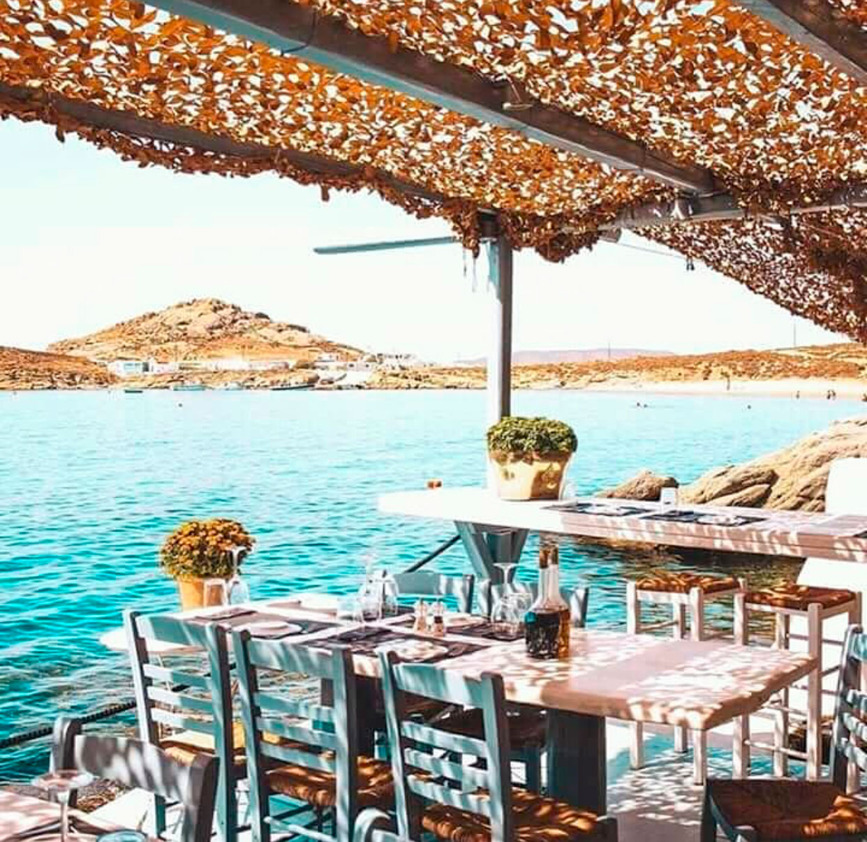 Restaurante Spilla - Foto: Divulgação