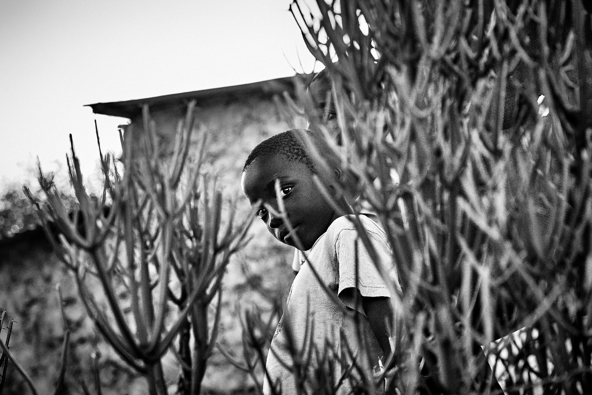 Moçambique