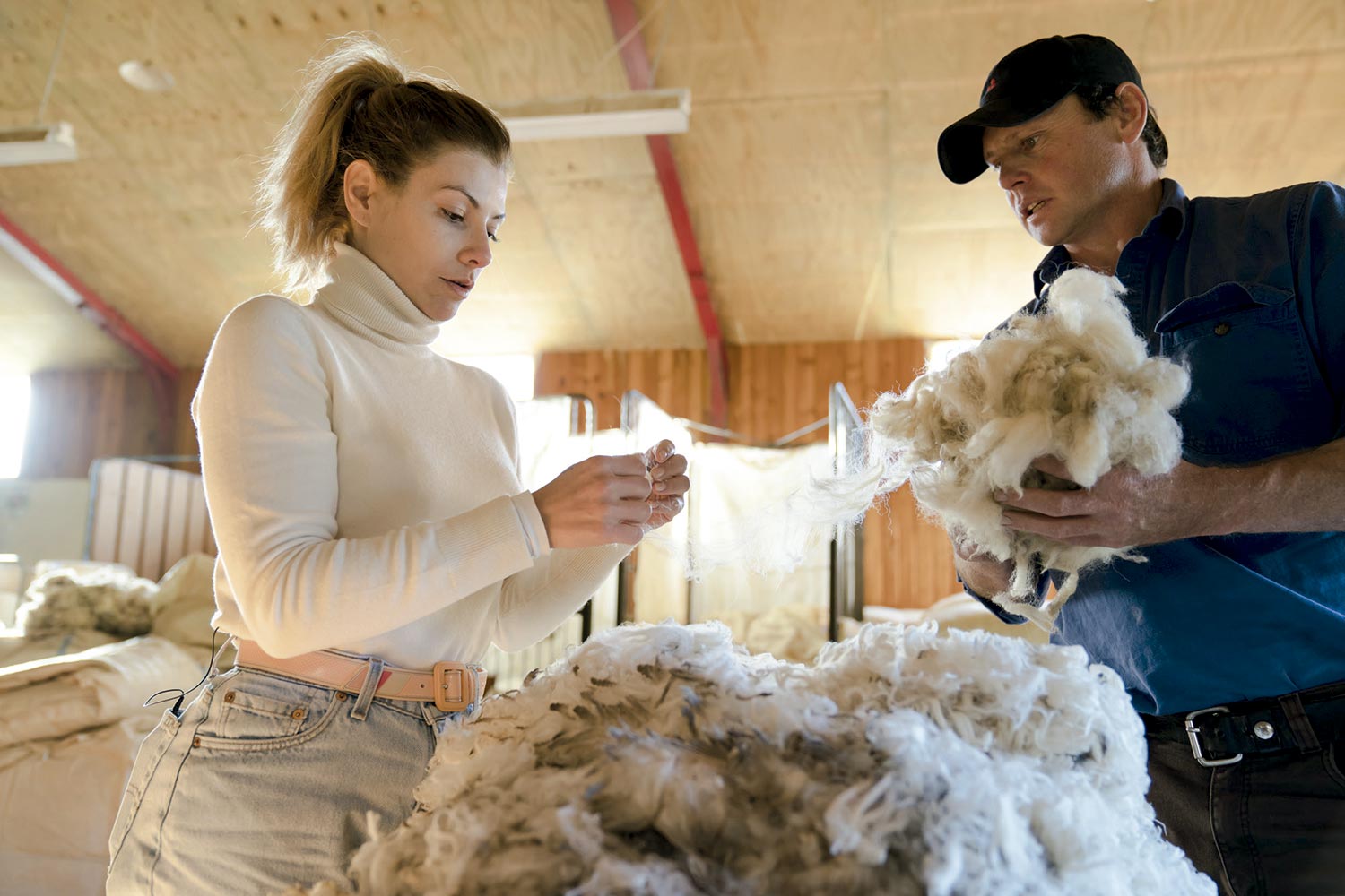 Helo visita a Fazenda Walter Peak, que cria ovelhas da raça merino e acompanha o método de produção da típica lã - Foto: Divulgação