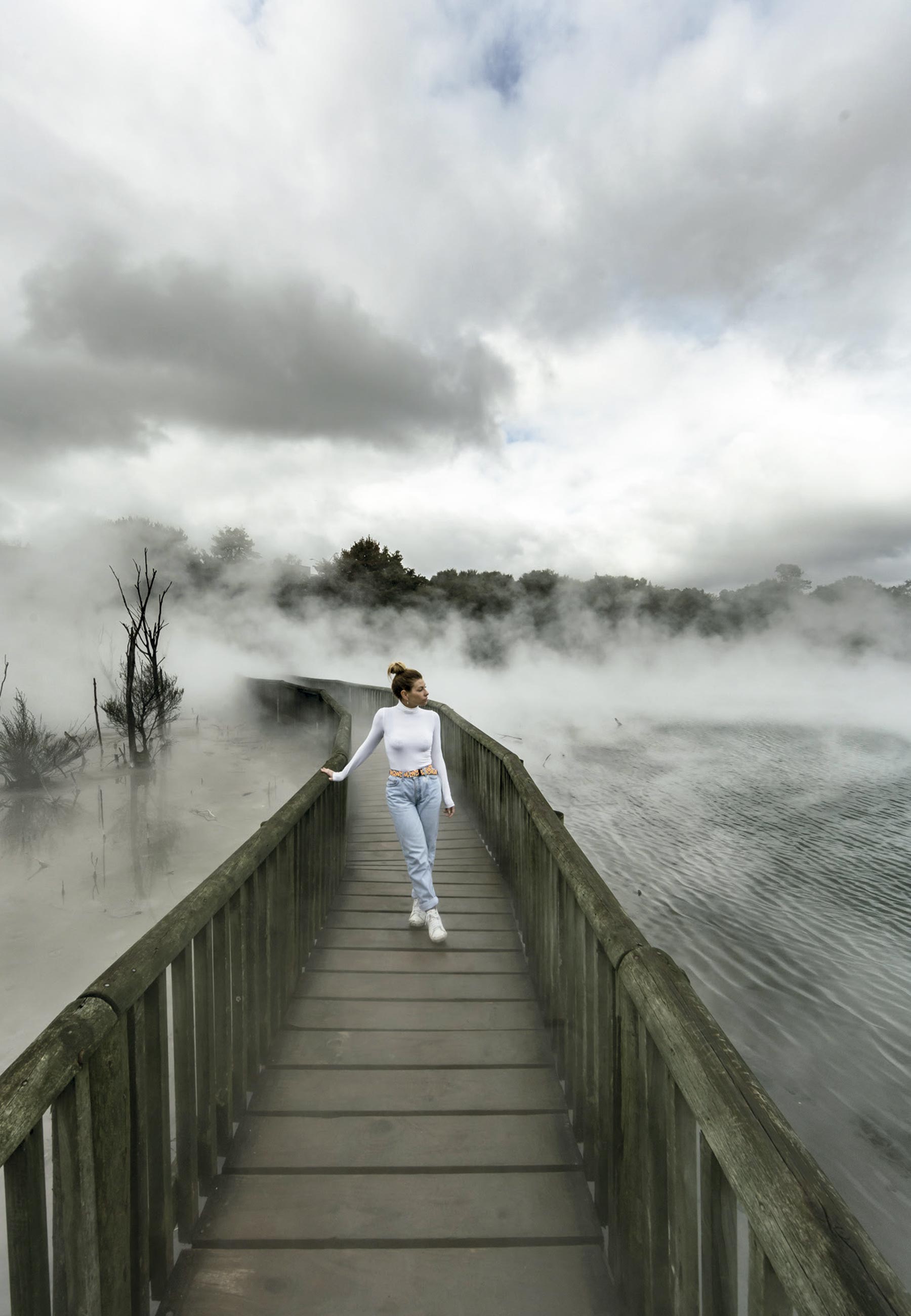  Caminhada por ponte suspensa no Parque Redwoods Treewalk, em Rotorua - Foto: Divulgação