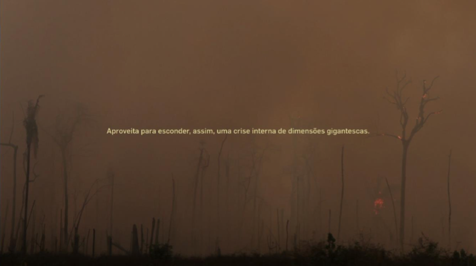 Still do vídeo Brasil x Argentina (Amazônia e Patagônia), de Dora Longo Bahia - Foto: Divulgação