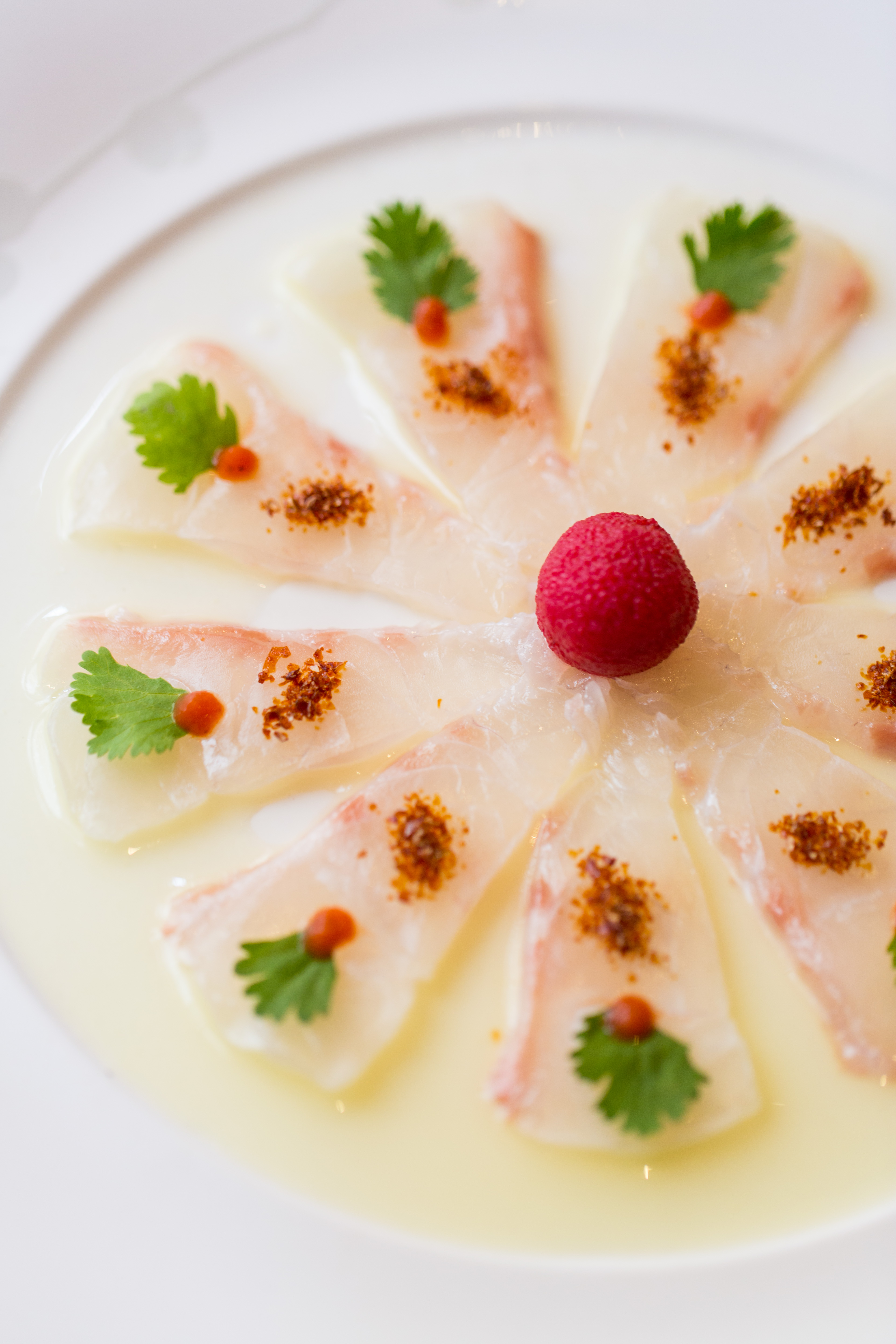 Whitefish Tiradito - Foto: Divulgação