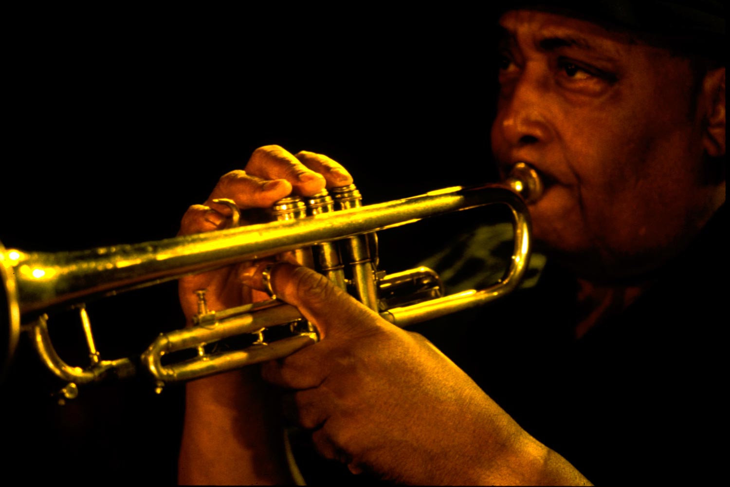 Austin não tem só música coutry. Tem jazz também! - Foto: Divulgação