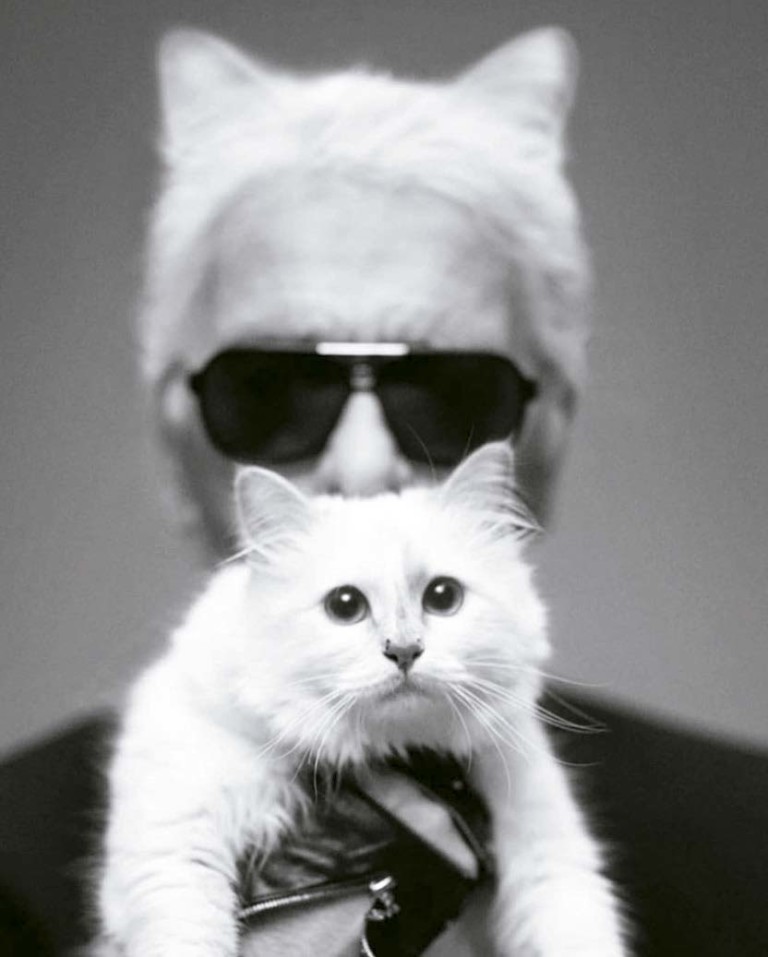 Karl com Choupette, sua gatinha milionária - Foto: Divulgação