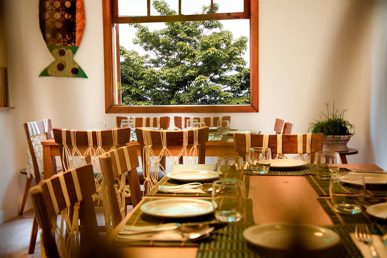 Interior do Suri - Foto: Divulgação