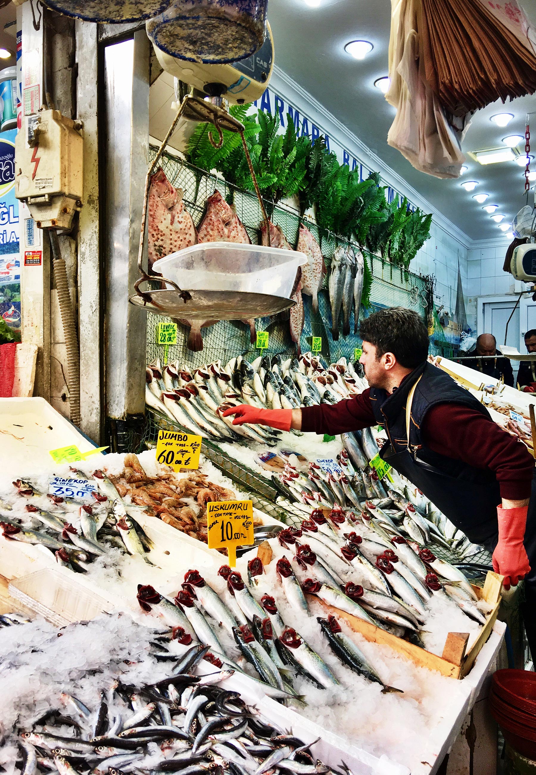Kadıköy Fish Market - Foto: Divulgação