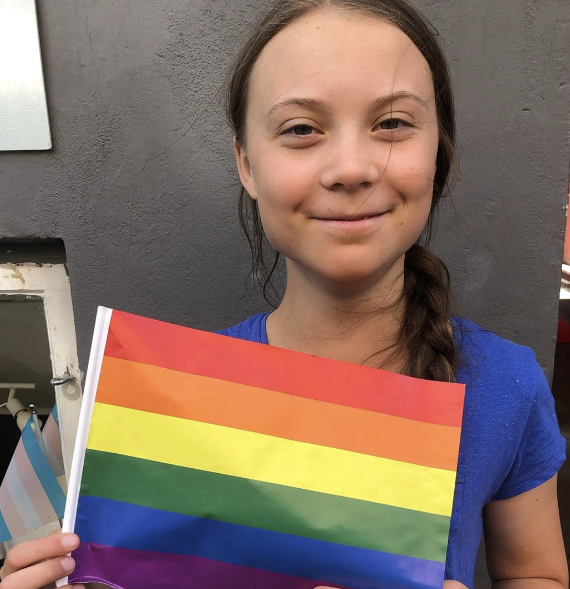 Foto: Reprodução/Instagram/@gretathunberg