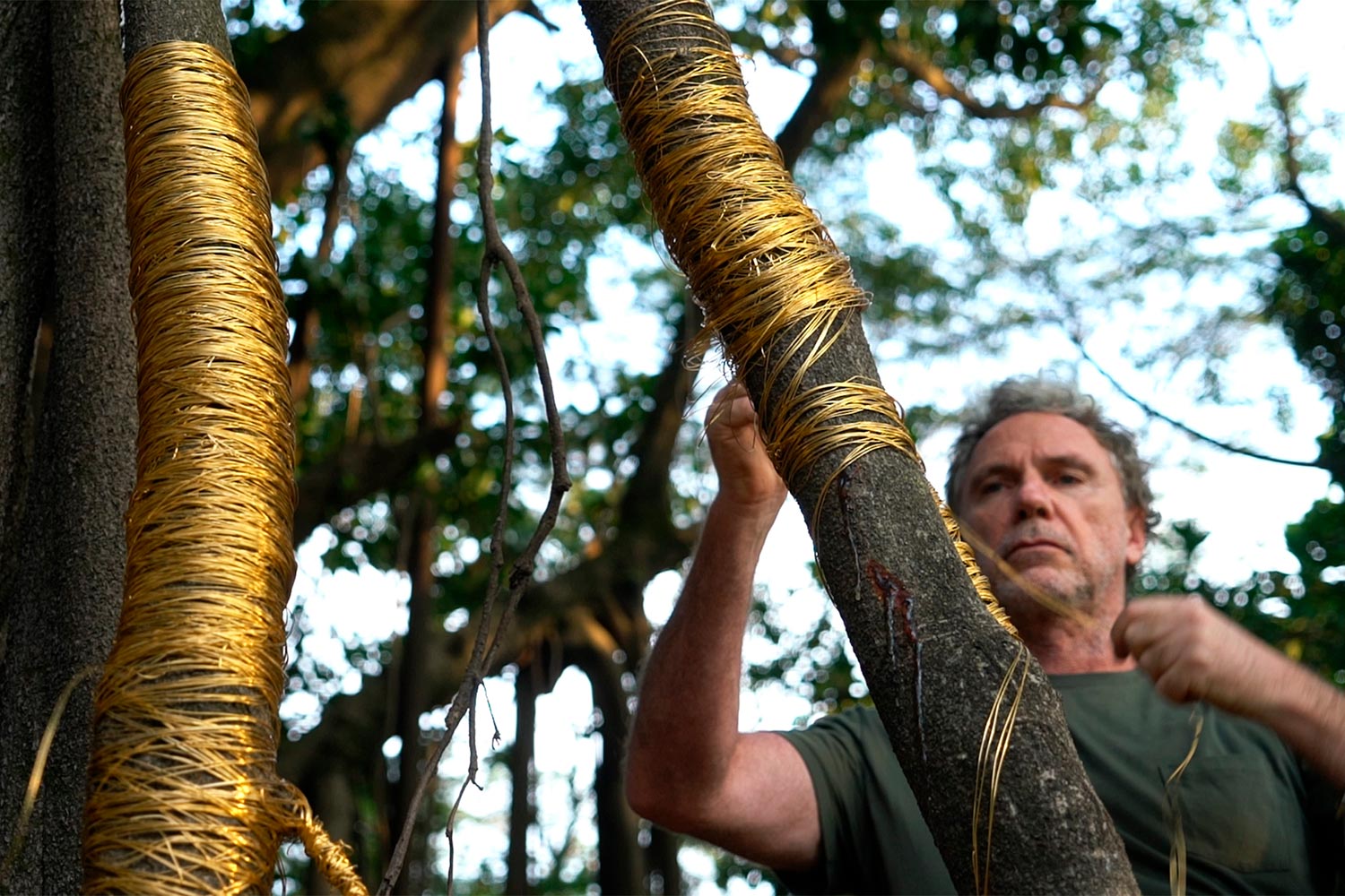 Oskar Metsavaht - Foto: Divulgação