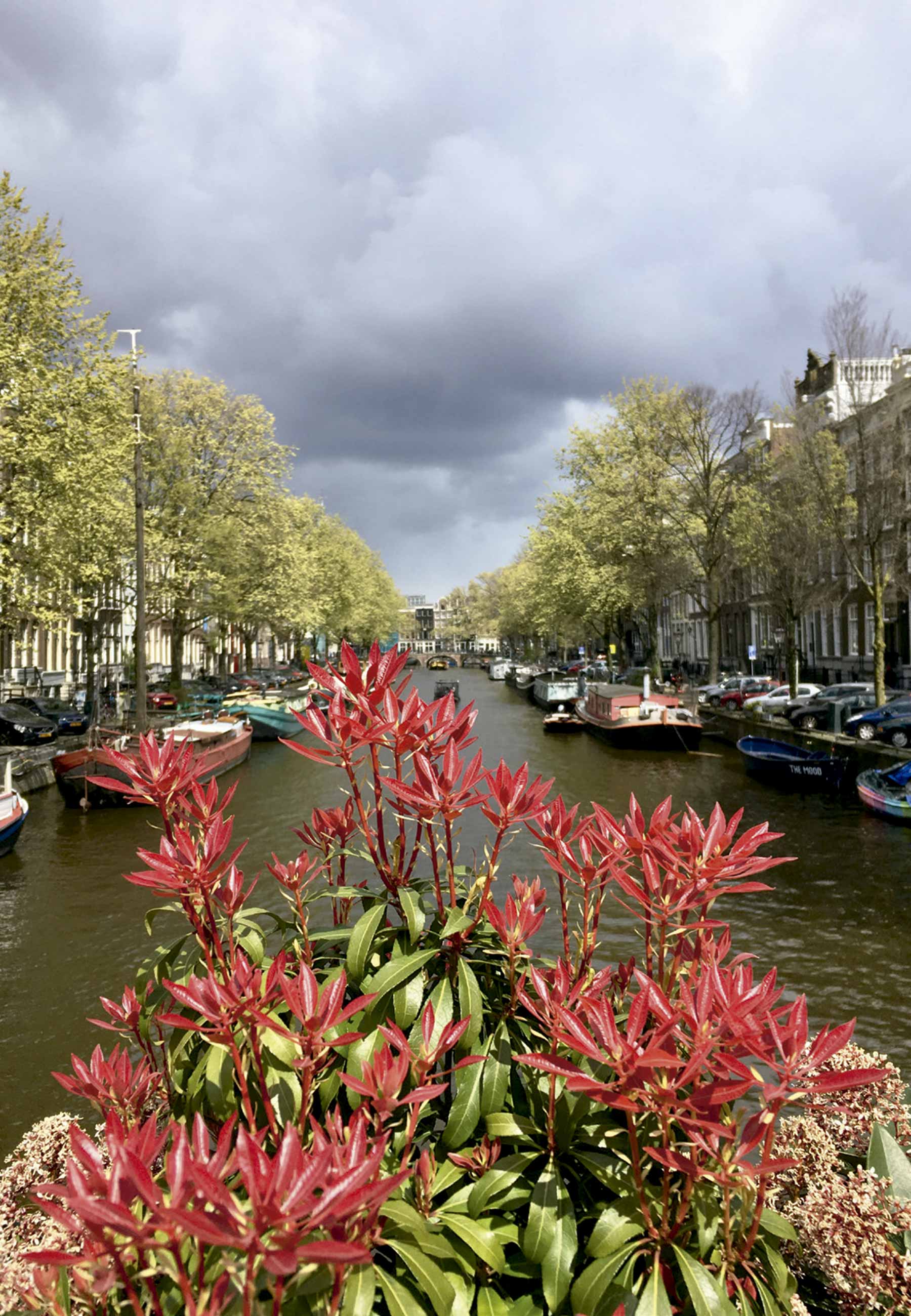 Um dos canais em Amsterdã - Foto Arquivo Pessoal