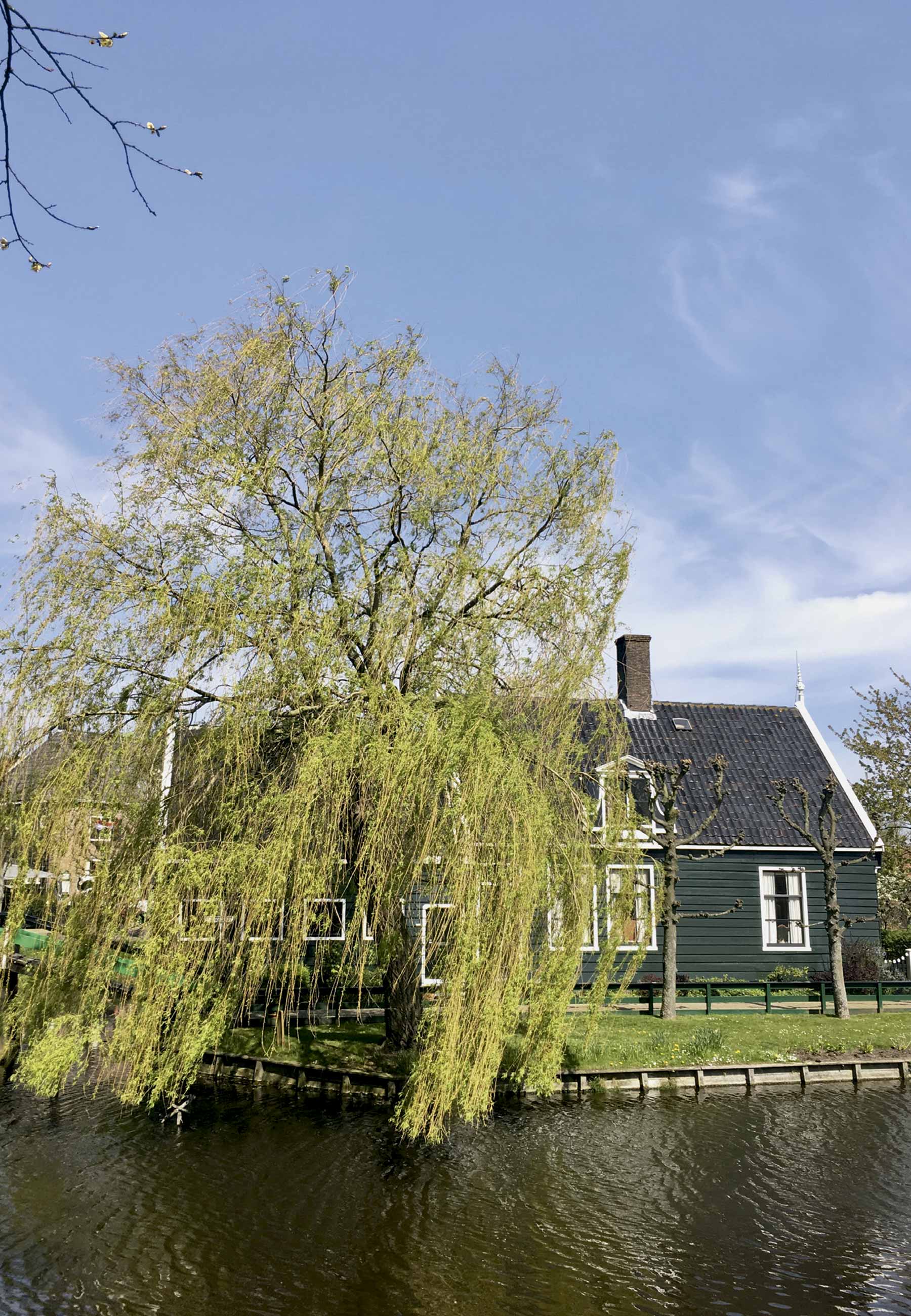 Casa tradicional perto dos moinhos de Zaanse Schans - Foto Arquivo Pessoal