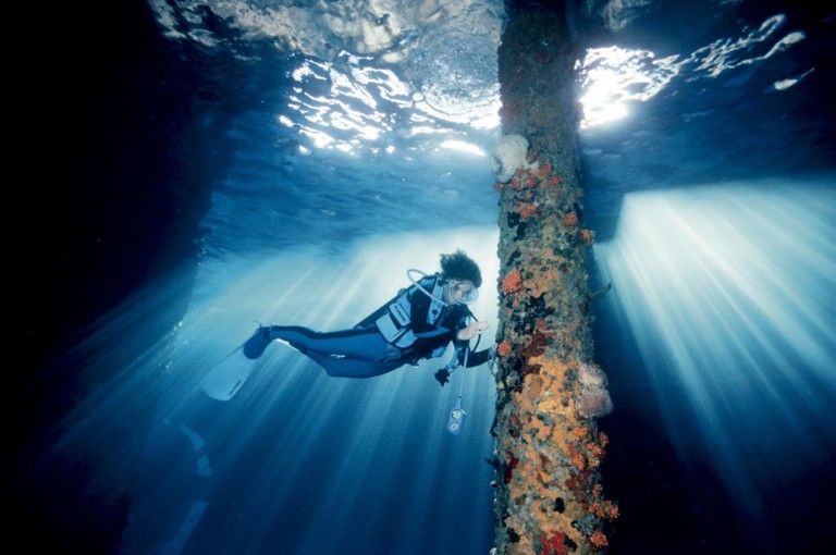 A bióloga marinha Sylvia Earle durante a iniciativa Mission Blue, apoiada pela Rolex - Foto: Divulgação